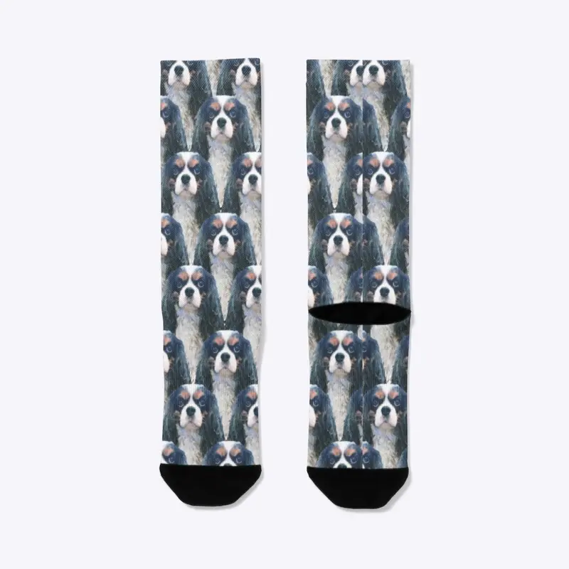 Tri CKCS socks